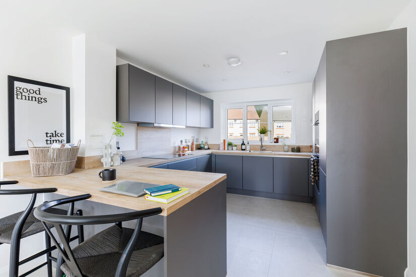 94638 Copper Beech View Newport Berkeley 11 low